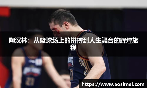 陶汉林：从篮球场上的拼搏到人生舞台的辉煌旅程